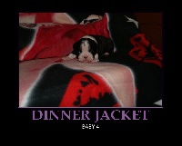 DINNER JACKET CHLOE BY DEAL OR NO DEAL