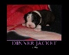 DINNER JACKET CHLOE BY DEAL OR NO DEAL